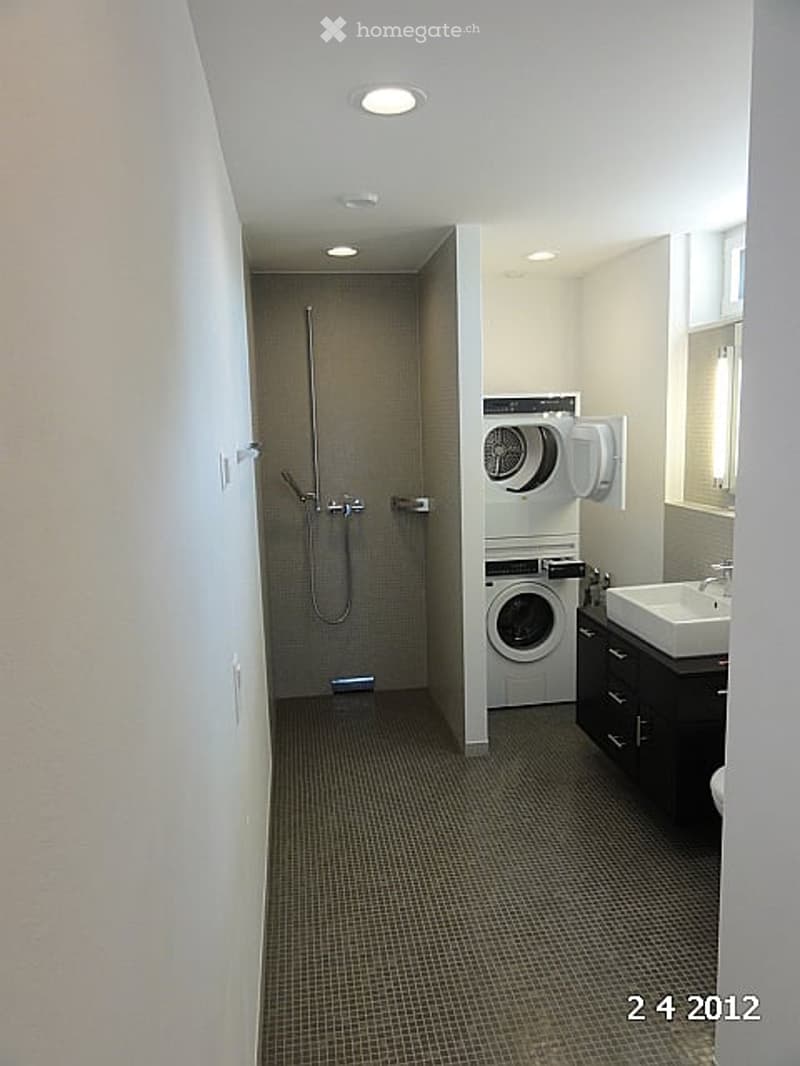 Modern bathroom with a shower, washing machine, sink, and dark cabinetry.