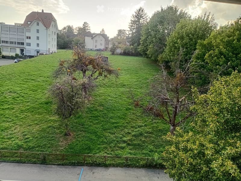 View of a grassy area with trees and a fence, with buildings in the background.