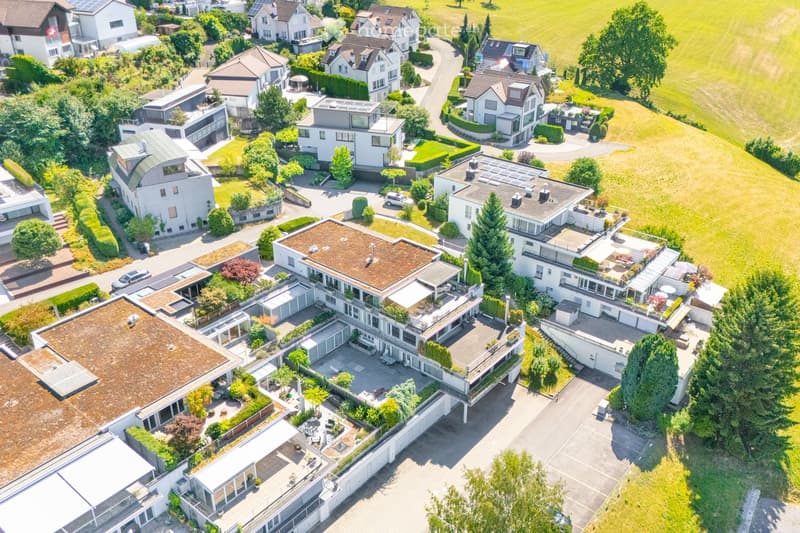 Aerial view of a residential neighborhood with multiple large houses, well-maintained gardens, driveways, and parked cars. The houses feature varied architectural styles, including modern and traditional designs, with some having large terraces or balconi