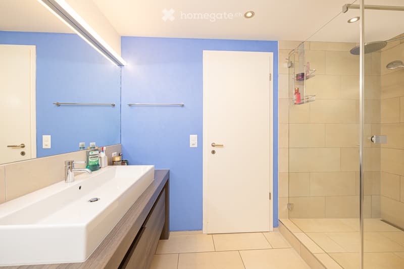 Modern bathroom with a large sink, mirror, and a glass-enclosed shower. The walls are painted in a two-tone design with blue upper and beige lower sections. The floor is tiled in beige, and the shower area has a glass door with a built-in shelf holding to