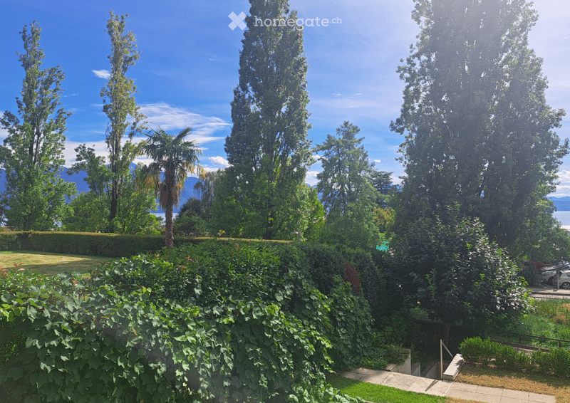 A well-maintained garden with lush greenery, tall trees, and a clear view of the surrounding landscape.