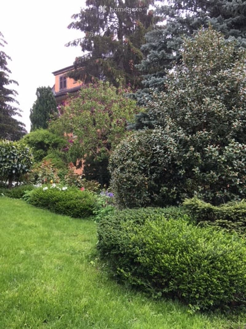Well-maintained garden with neatly trimmed hedges, flowering shrubs, and a variety of trees, including evergreens and deciduous plants, surrounding a house with a visible brick facade.