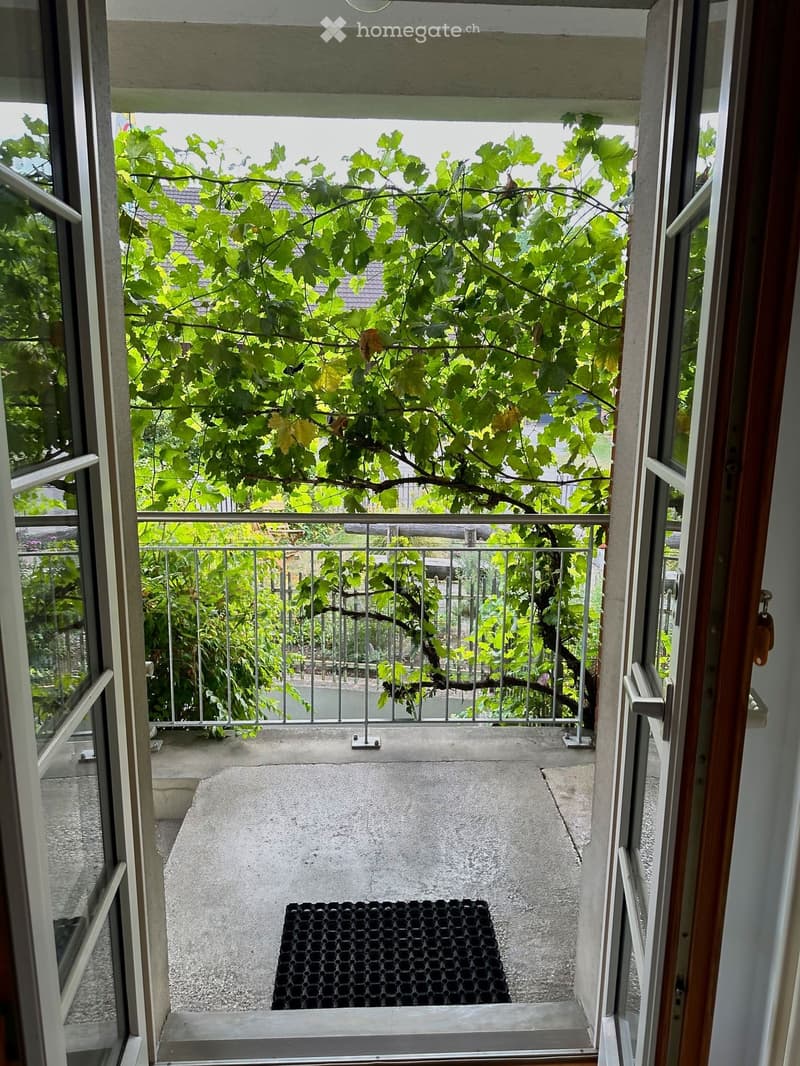 Balcony with metal railing, concrete floor, and a small black mat, surrounded by lush green foliage.