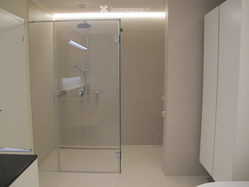 Modern bathroom with a glass-enclosed shower stall, a handheld showerhead, and a sleek faucet. The shower stall has a glass door and a built-in seat. The walls and floor are tiled in a light beige color.