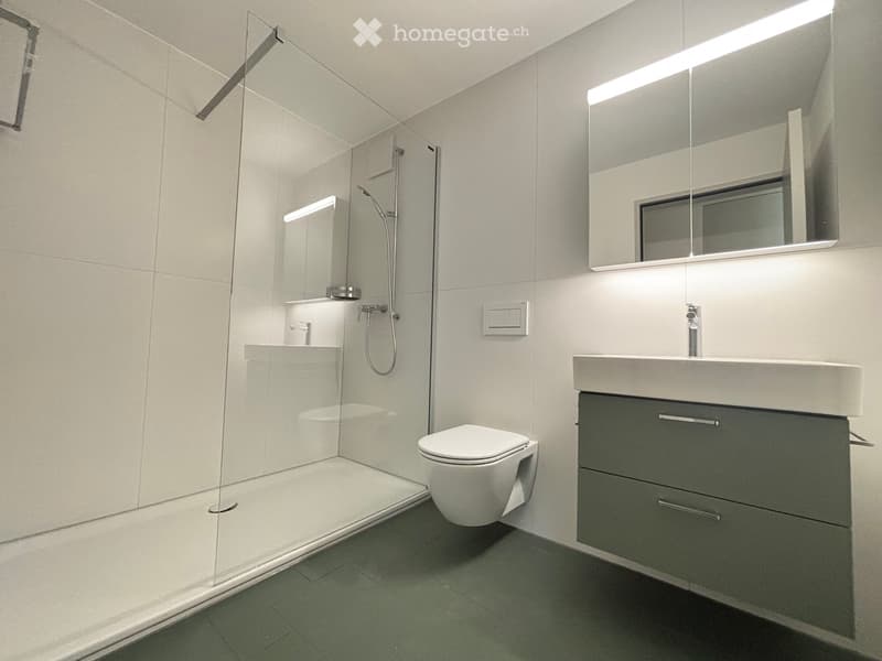 Modern bathroom with a glass-enclosed shower, toilet, sink with a dark grey cabinet, and a large mirror with built-in lighting.