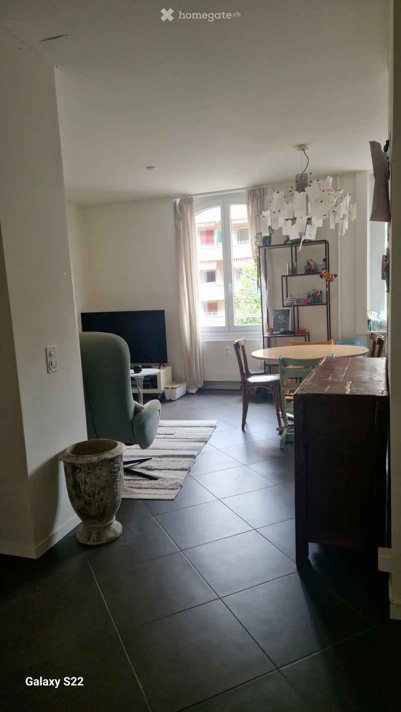 A modern living room with a grey sofa, a wooden dining table with chairs, a television, a shelf with decorative items, a large vase, and a rug on the floor.