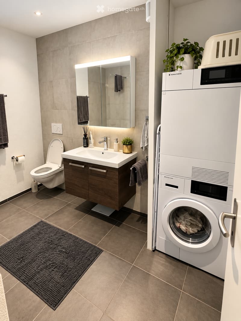Modern bathroom with a sink, toilet, mirror, and a washing machine. Features include a dark wooden vanity, a potted plant, and a gray bath mat on the floor.