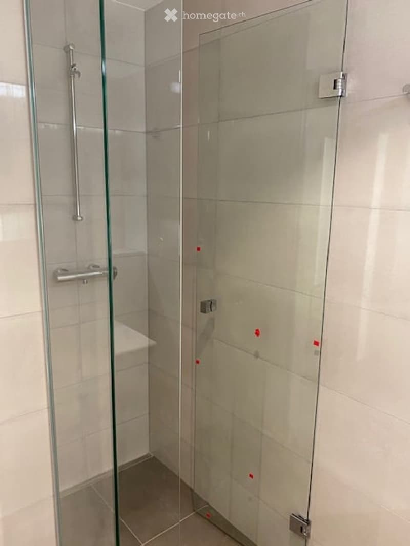 Modern bathroom with a glass shower enclosure, white tiles, and a sleek shower handle.