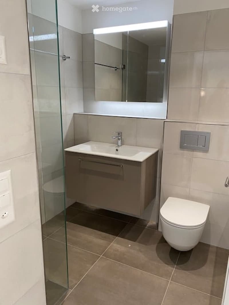 Modern bathroom with a white sink, mirrored cabinet, toilet, and glass shower enclosure.