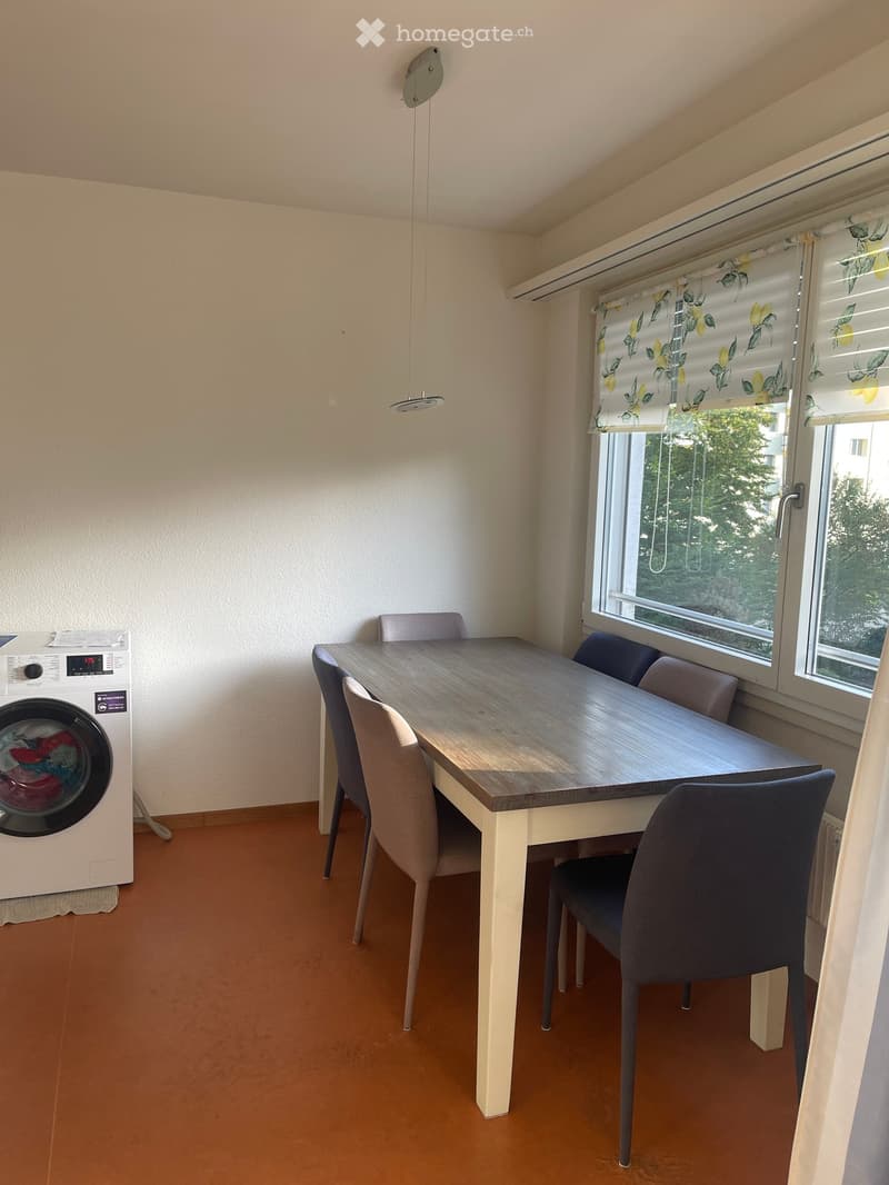 Dining area with a wooden table, four chairs, and a washing machine in the corner.