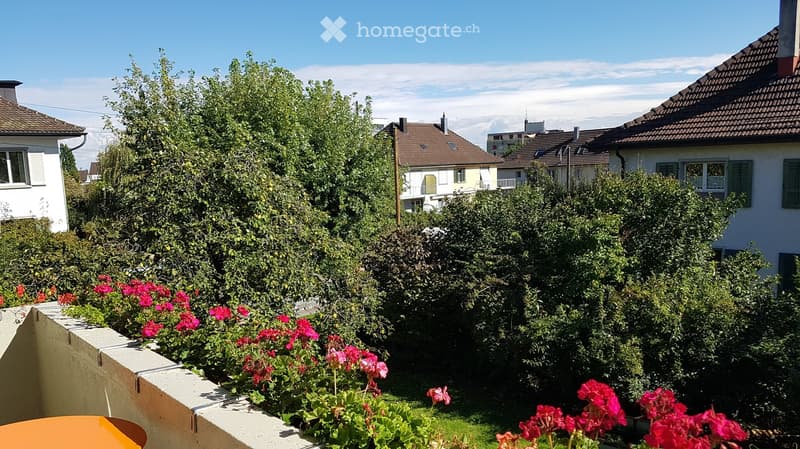 A garden area with lush greenery, flowering plants, and a view of neighboring houses and a clear blue sky.