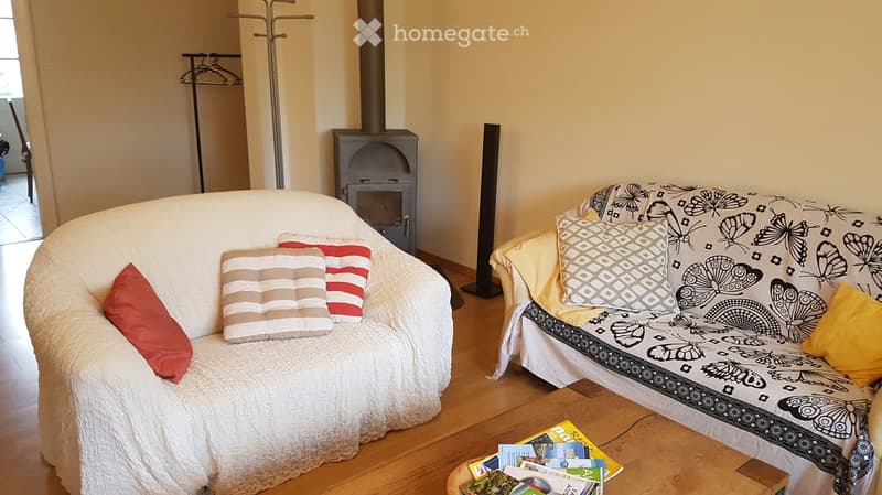 Living room with two sofas, one with a butterfly print cover and the other with a white cover, both adorned with colorful pillows. A wooden coffee table holds several books and magazines. A small wood-burning stove is visible in the background, and the ro