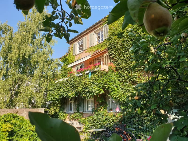 A two-story house covered in lush green ivy, with multiple windows and a small balcony adorned with colorful flowers. The garden is filled with trees, shrubs, and a small table with chairs, with bicycles parked nearby.