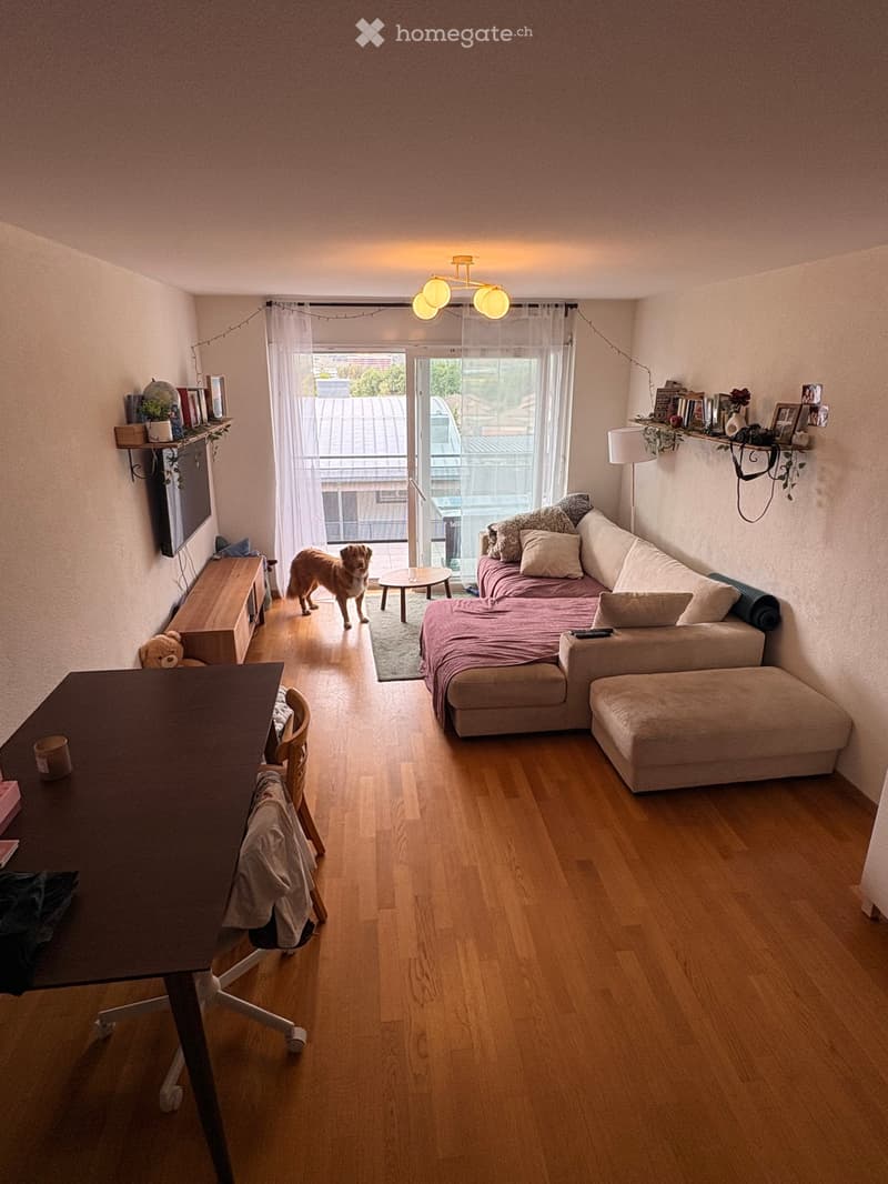 A modern, well-lit living room with wooden flooring, a sofa with an ottoman, a small table, a chair, shelves with decorative items, and a dog standing near the balcony entrance.