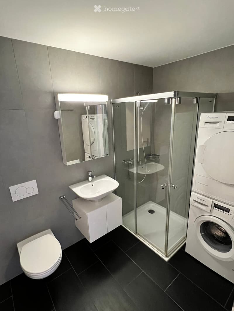 Modern bathroom with a toilet, sink, mirror, glass-enclosed shower, and a washing machine. Features dark tiled flooring and grey walls.