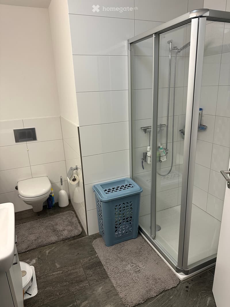 Modern bathroom with white tiled walls, a glass-enclosed shower, toilet, toilet paper holder, and a blue laundry basket on a rug.