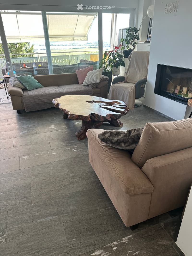 Modern living room with large windows offering a scenic view, featuring a sectional sofa, coffee table, armchair, fireplace, and decorative plants.