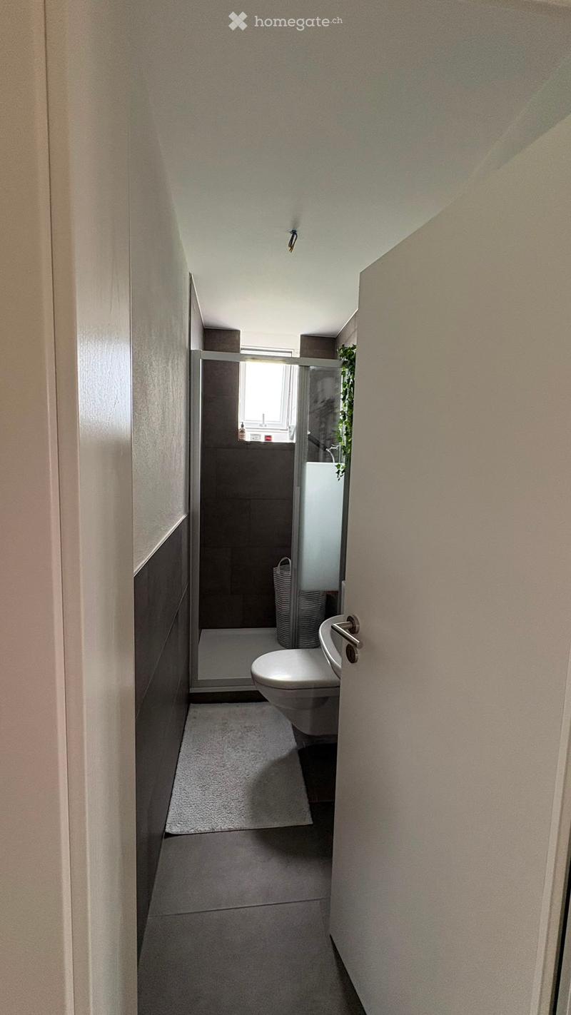 Modern bathroom with a toilet, shower area, and a small rug. The shower has a glass door, and a wicker basket is placed near the shower.
