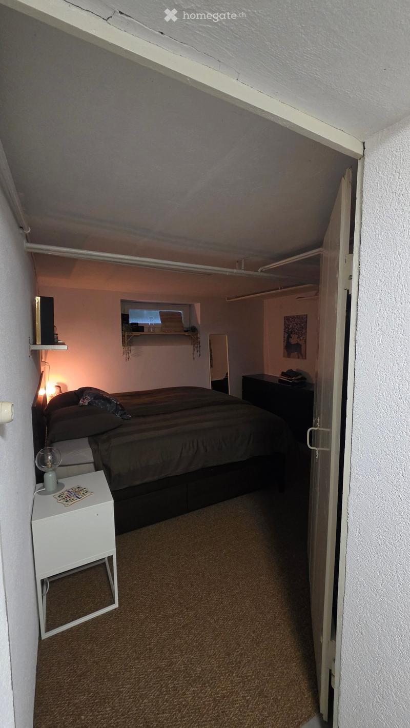 Cozy bedroom with a bed, nightstand, lamp, mirror, shelf, and screen. The room has carpeted flooring and is connected to an adjacent closet area.