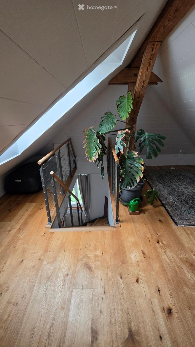 Attic hallway with wooden flooring, metal railing staircase, skylight windows, and a large leafy plant in a pot on a wooden shelf.