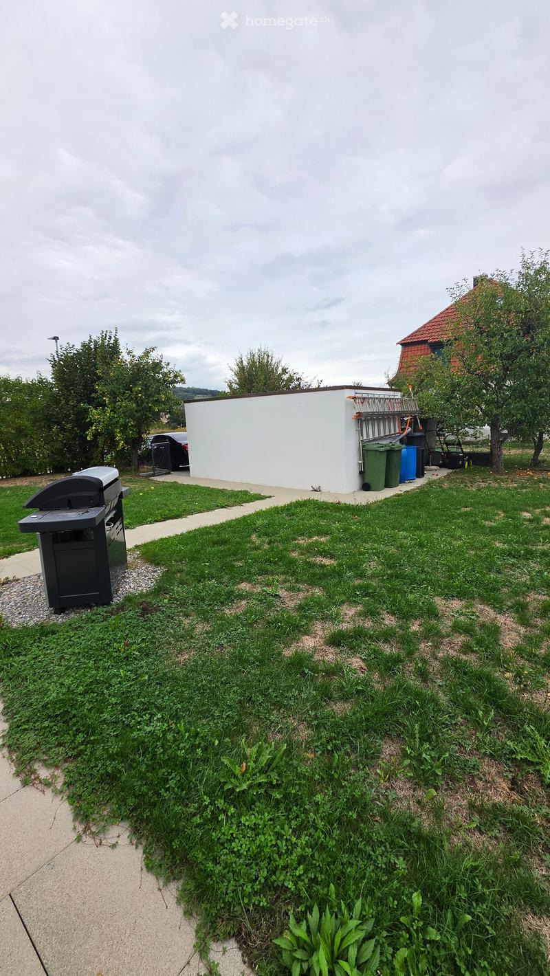 Garden area with a barbecue, concrete pathway, and a white shed. There are trees, grass, and some overgrown vegetation near the pathway.