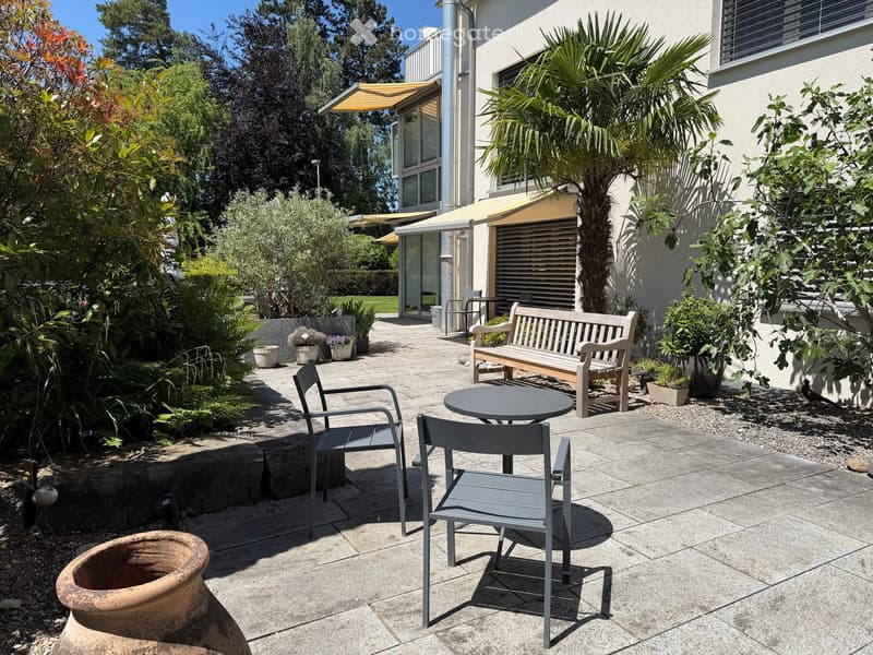 Garden patio with a round table, four chairs, a wooden bench, and several potted plants, including a large palm tree and a large terracotta pot.