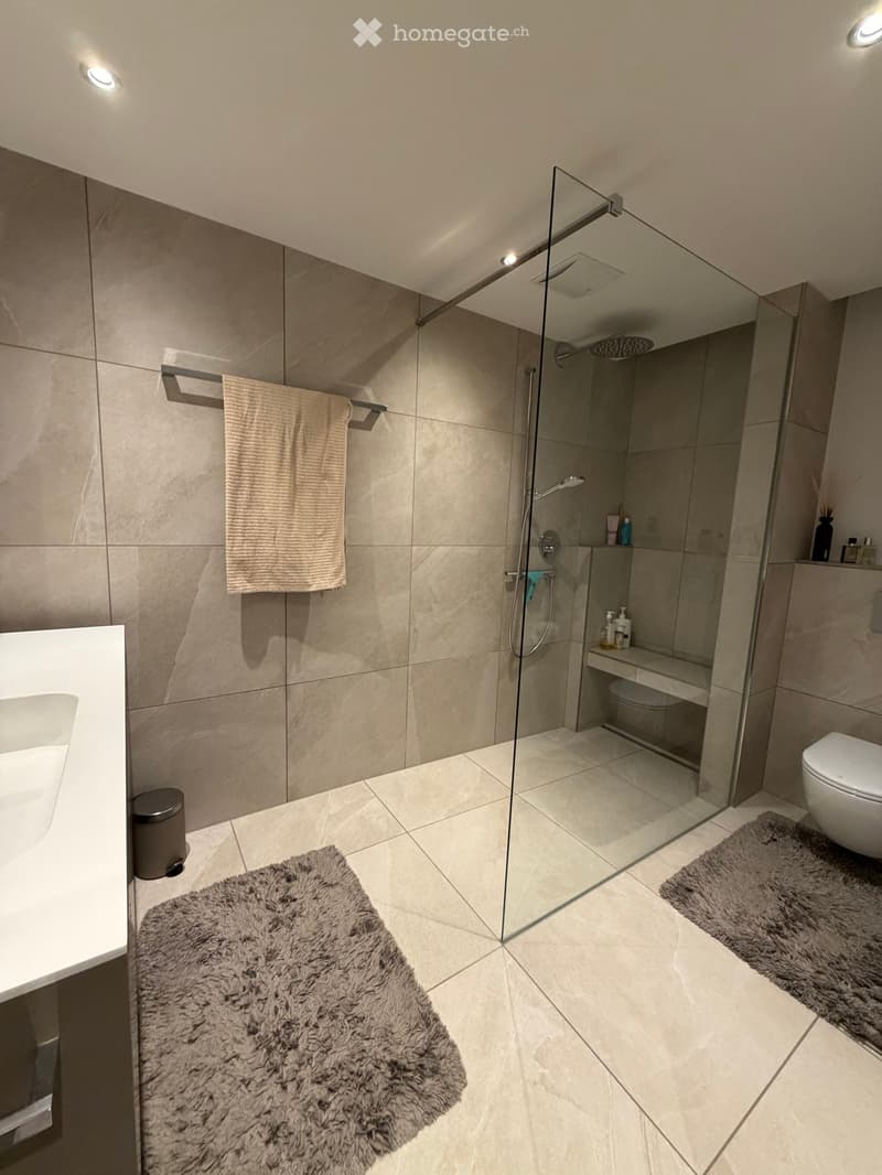 Modern bathroom with a glass-enclosed shower, a sink, a toilet, and a towel on a rack. The floor is tiled, and there are two plush rugs placed in front of the sink and toilet.