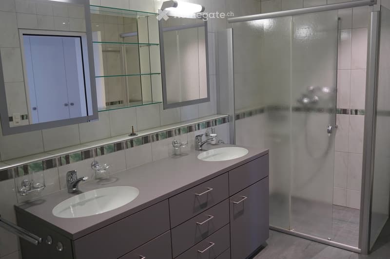 Modern bathroom with double sink vanity, mirrored cabinet, glass shelves, and a walk-in shower with glass enclosure.