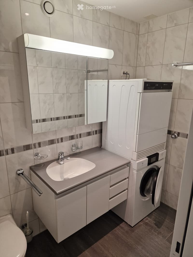 Modern bathroom with a sink, mirror, cabinet, and a stacked washer/dryer unit. Includes a toilet and a toilet brush holder.