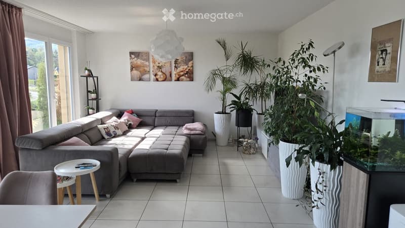 Modern living room with grey sectional sofa, coffee table, potted plants, fish tank, and large windows with a view.