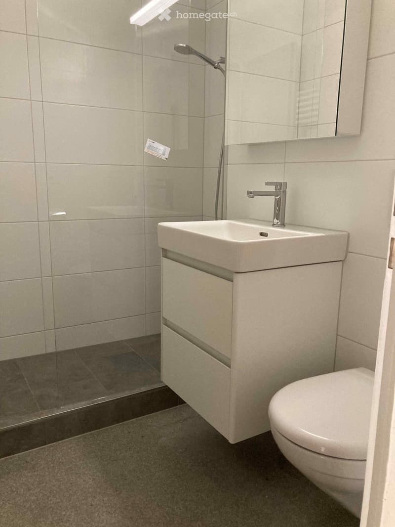 Modern bathroom with a white sink, chrome faucet, toilet, and a large mirror above the sink. The walls are tiled in light gray, and the floor is covered with dark tiles.