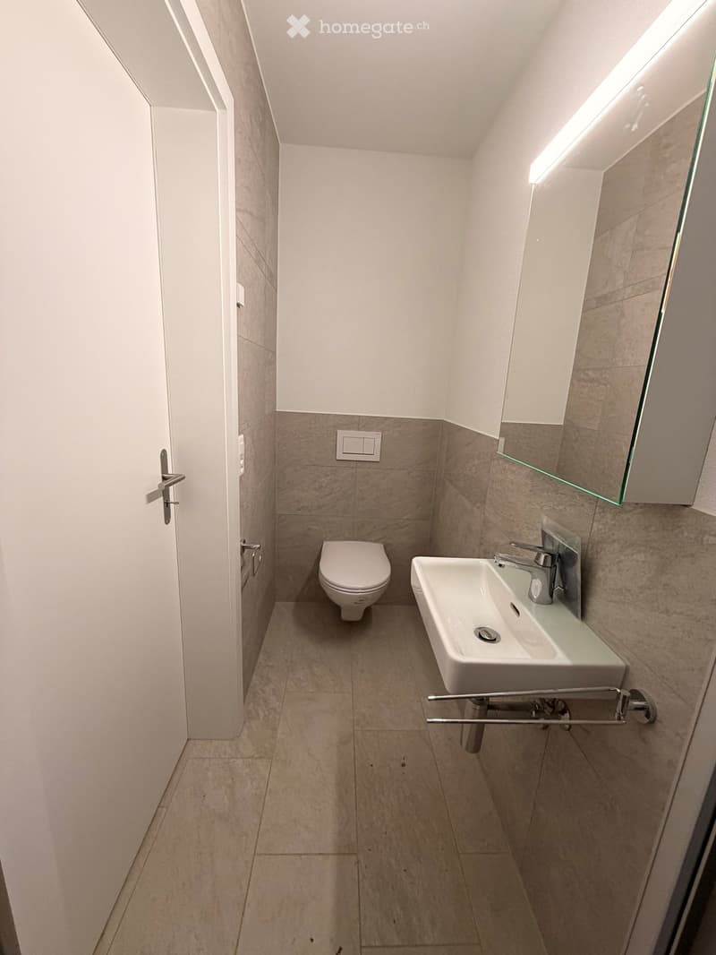 Modern bathroom with a toilet, sink, and mirror. Light-colored tiles and a sleek design.
