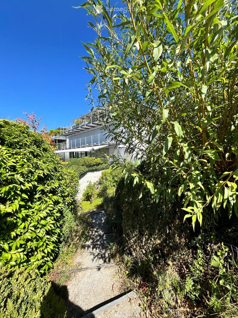 A pathway leads up to a modern house with a balcony, surrounded by lush greenery and tall plants.