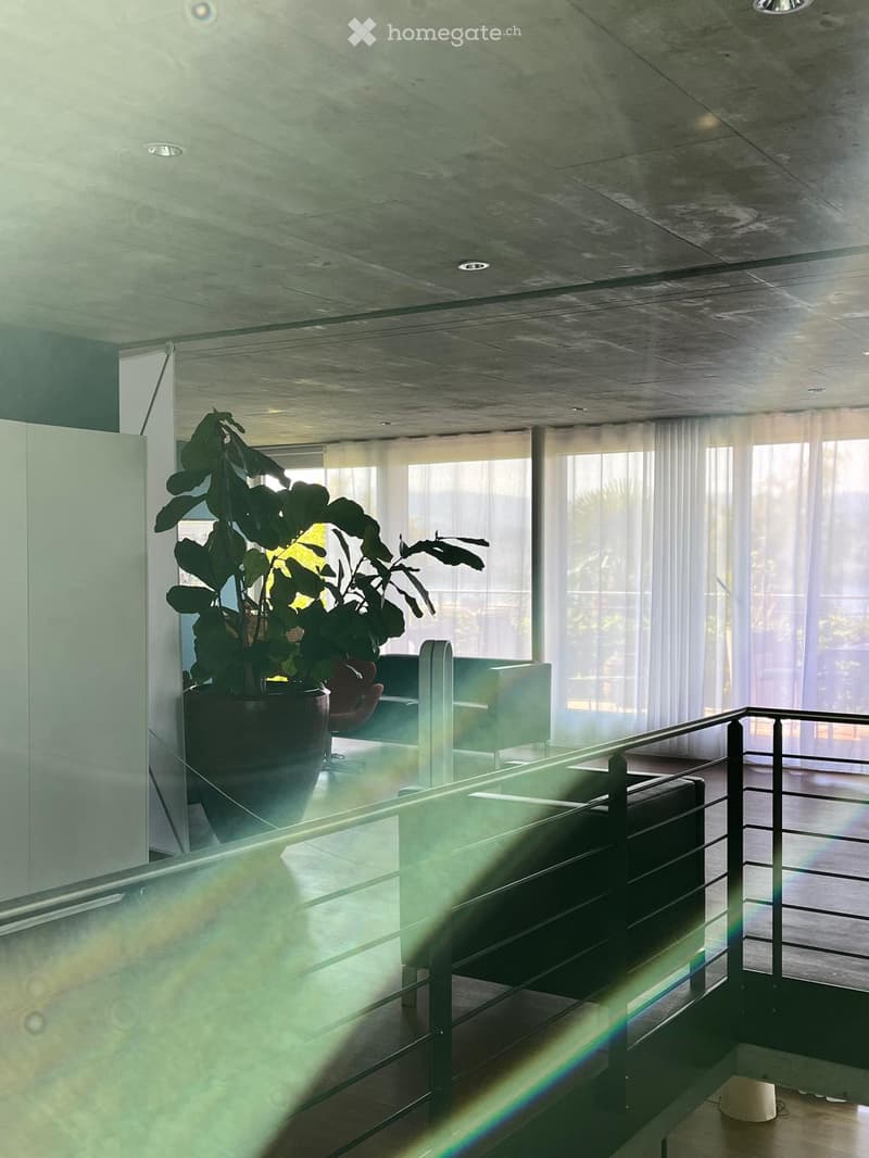 Modern, minimalist room with large windows, a glass railing, a sofa, a chair, and a large potted plant.