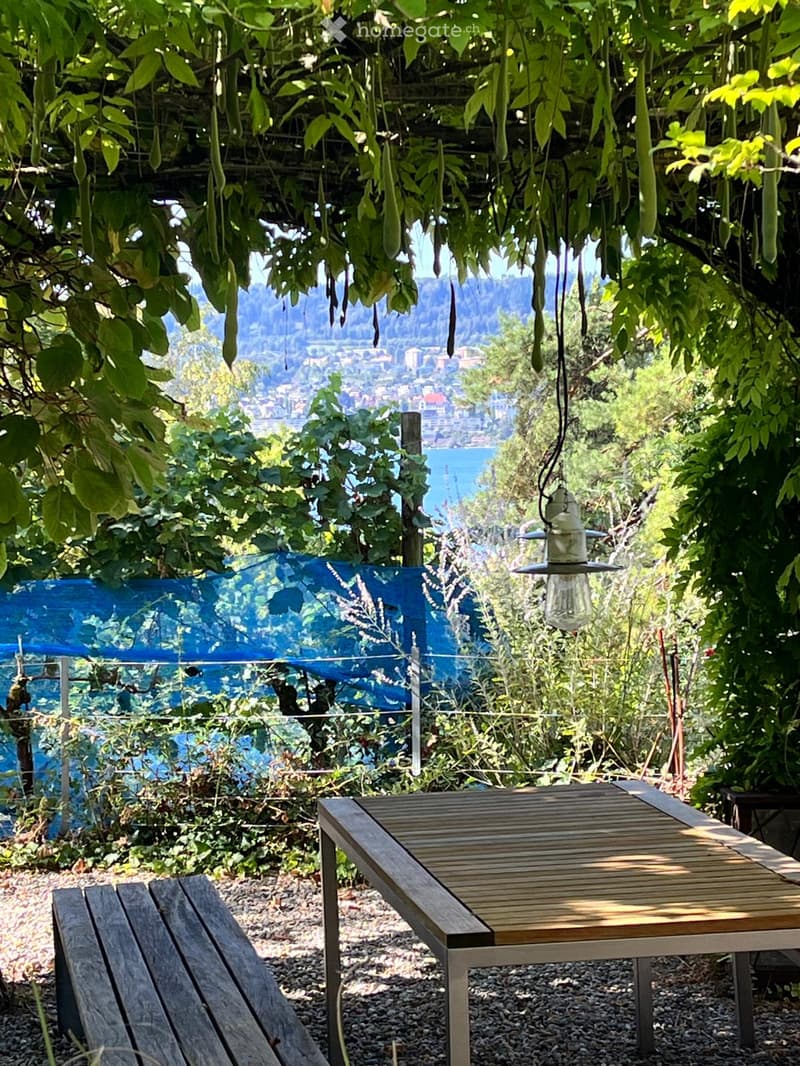 A serene outdoor garden area with a wooden table, bench, and hanging lantern, overlooking a scenic lake and distant hills.