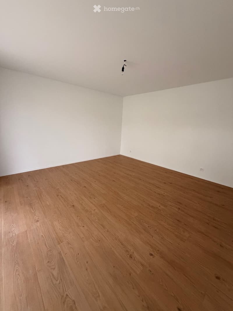 Empty room with light wooden flooring and white walls, featuring a single ceiling light fixture.