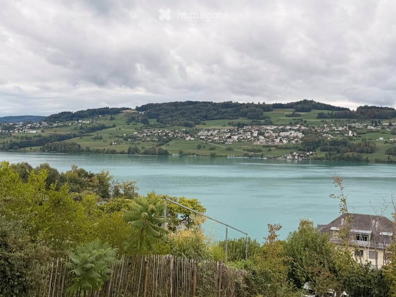 A scenic view of a lake surrounded by green hills and scattered houses, with a wooden fence in the foreground and trees partially obscuring the view.