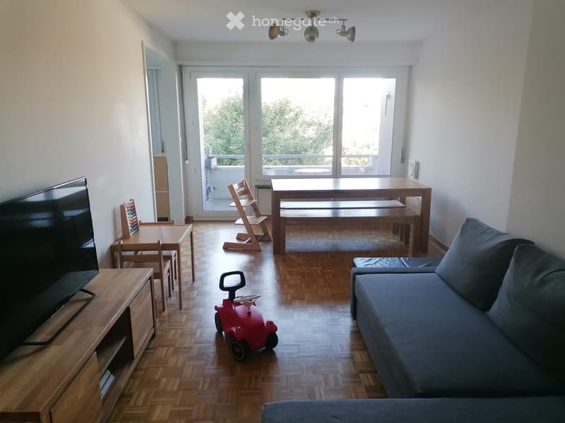 Living room with wooden flooring, large windows leading to a balcony, sofa, coffee table, dining table, chairs, and a small red toy car.