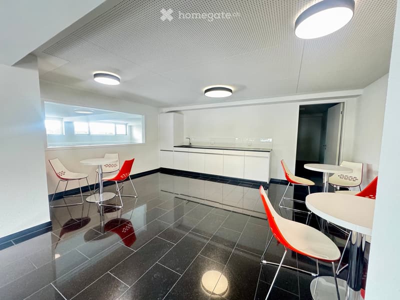 modern office room, dark tiles, white walls, white table and chairs, kitchen area with sink