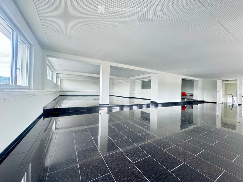 modern, spacious, black tile flooring, white walls, large windows, steel handrail