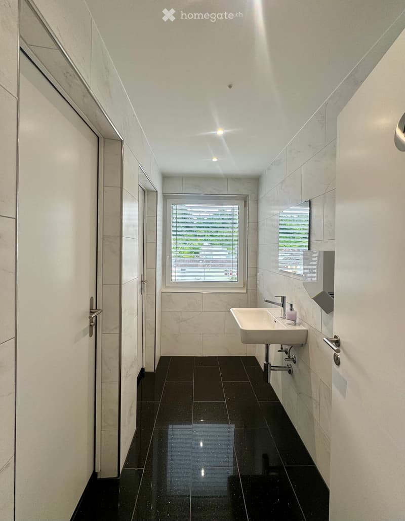 white tiles, modern sink, window, black tiled floor