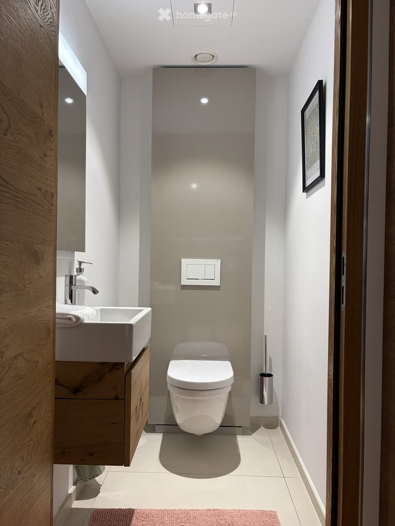 Modern, compact bathroom with a toilet, sink, wooden cabinet, and a framed picture on the wall.