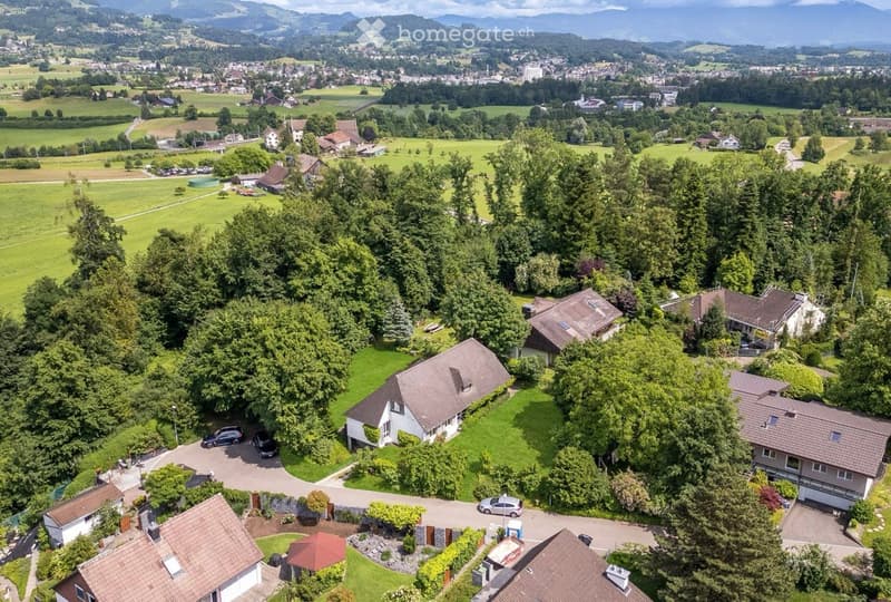 Aerial view of a neighborhood with several houses surrounded by trees and greenery, a driveway with parked cars, and a distant city view.