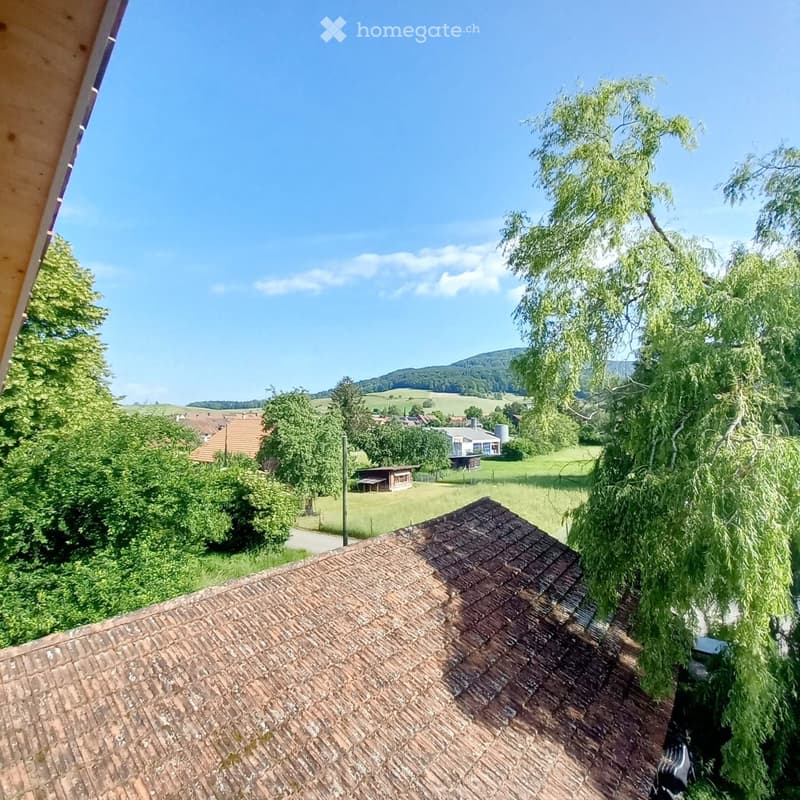 View from a balcony or terrace showing a rural landscape with green fields, trees, and distant hills under a clear blue sky.