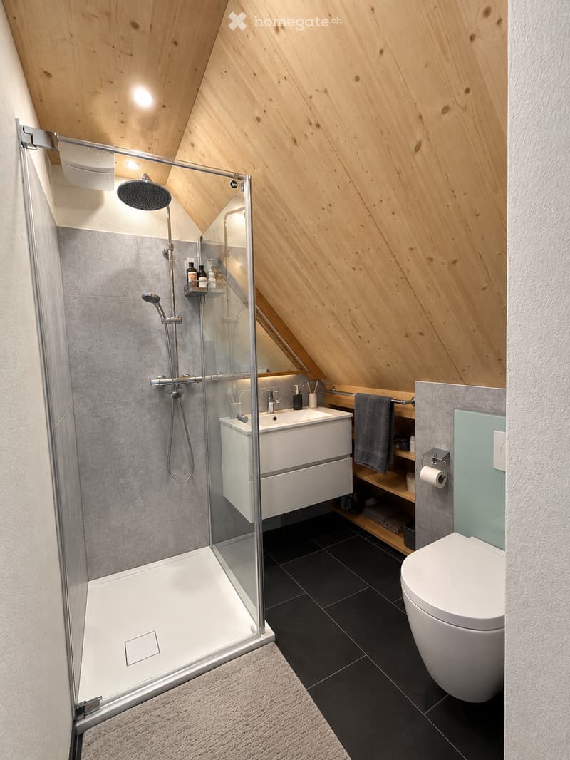 Modern bathroom with wooden slanted ceiling, black tiled floor, white toilet, sink, and glass-enclosed shower. Includes a towel, shelf, and mirror.