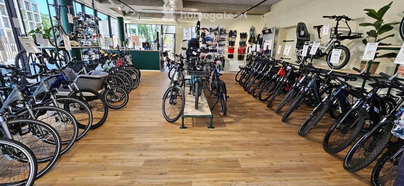 A spacious bicycle shop with numerous bicycles neatly arranged on the floor and shelves, featuring a baby seat and signage.