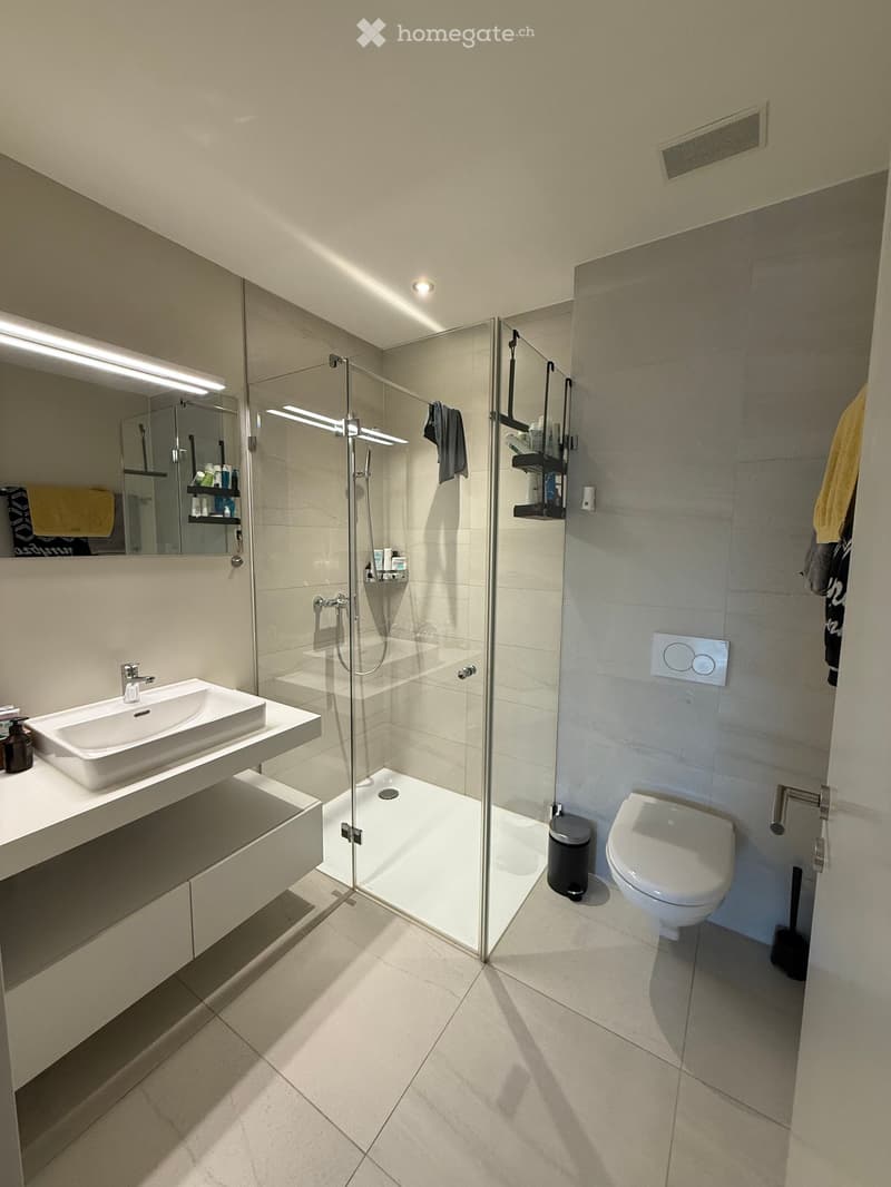 Modern bathroom with a white sink, large mirror, glass-enclosed shower, toilet, and built-in shelves holding toiletries.