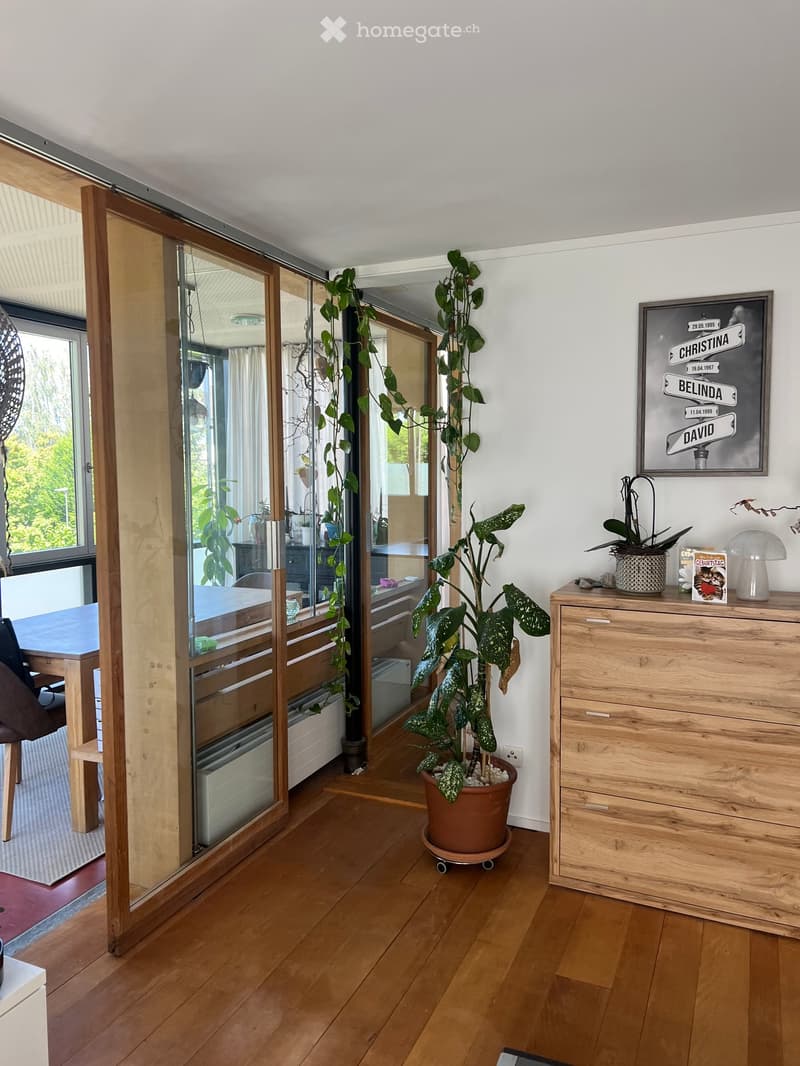 A modern, well-lit room with wooden flooring, large glass sliding doors leading to a balcony, a tall potted plant, a wooden cabinet, and a table with chairs.