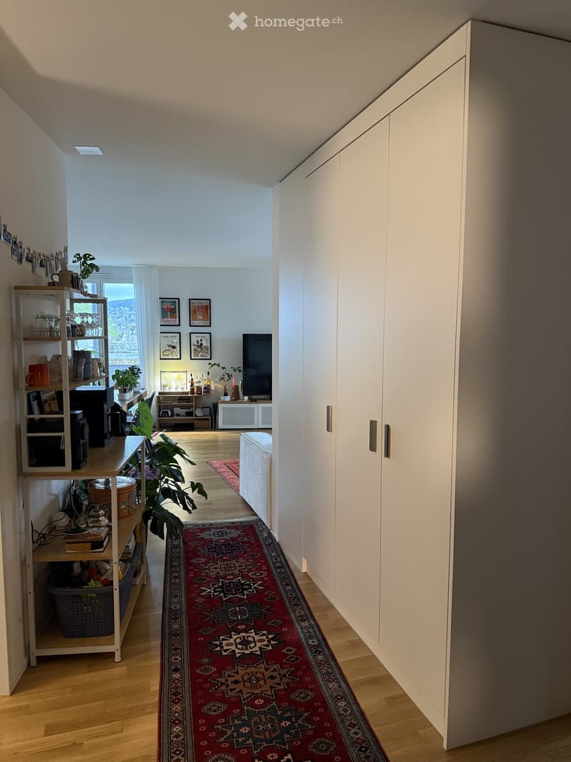 Bright hallway with wooden flooring, white built-in closet, red patterned runner, and adjacent living area with shelves, TV, and plants.