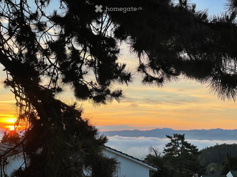 A serene outdoor view with a pine tree in the foreground, a house partially visible, and a distant mountain range under a colorful sunset sky.